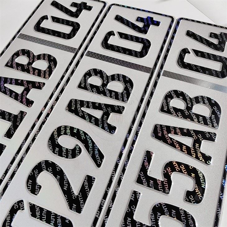 Personalized Holographic US License Plate high quality